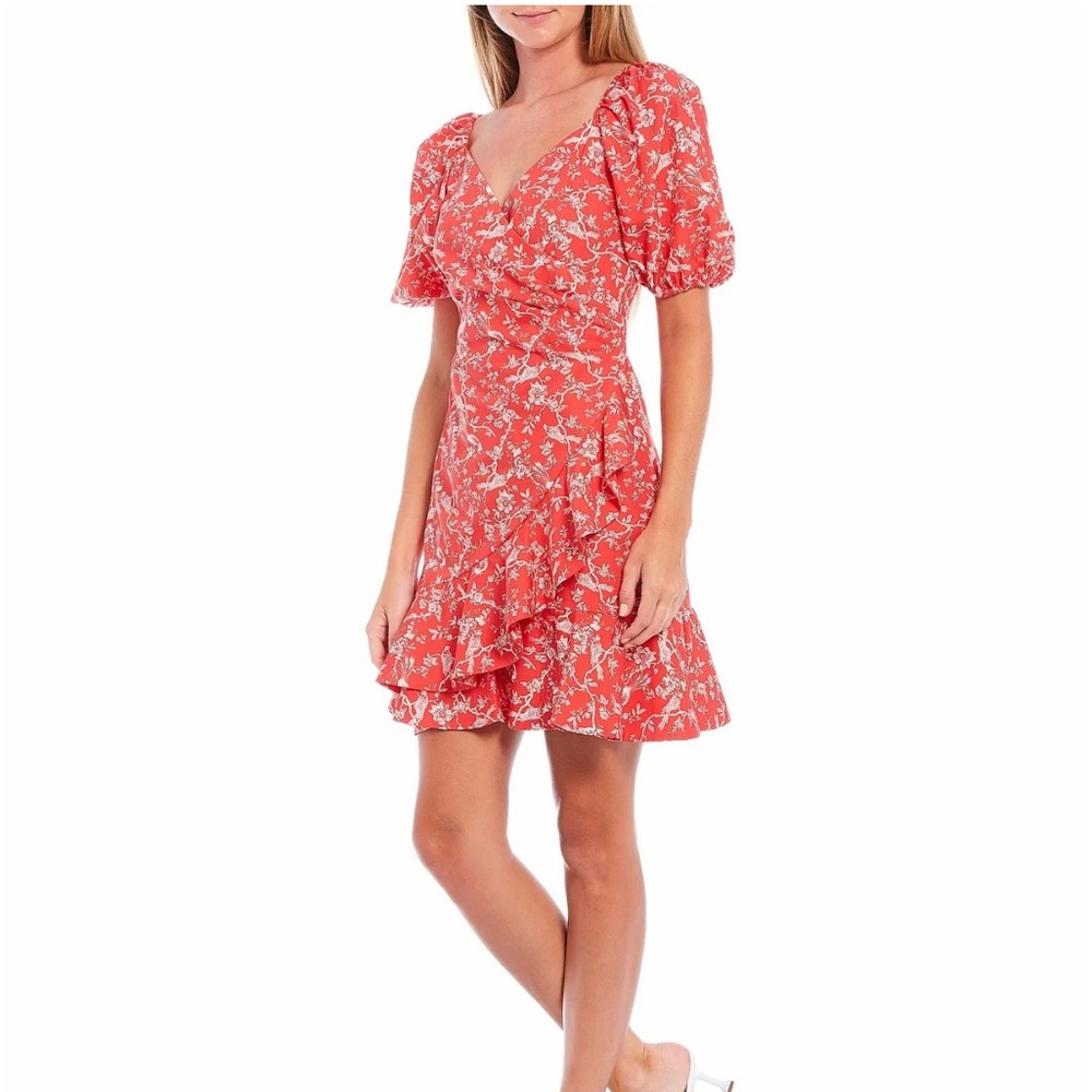 Anthropologie Sachin & Babi Catherine Puff Sleeve Ruffle Hem Dress sz10